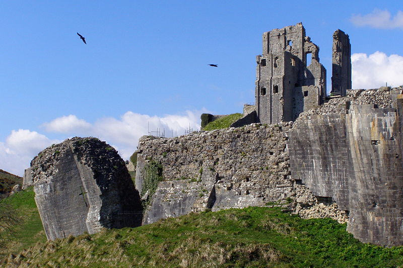 Habitat at Corfe Castle